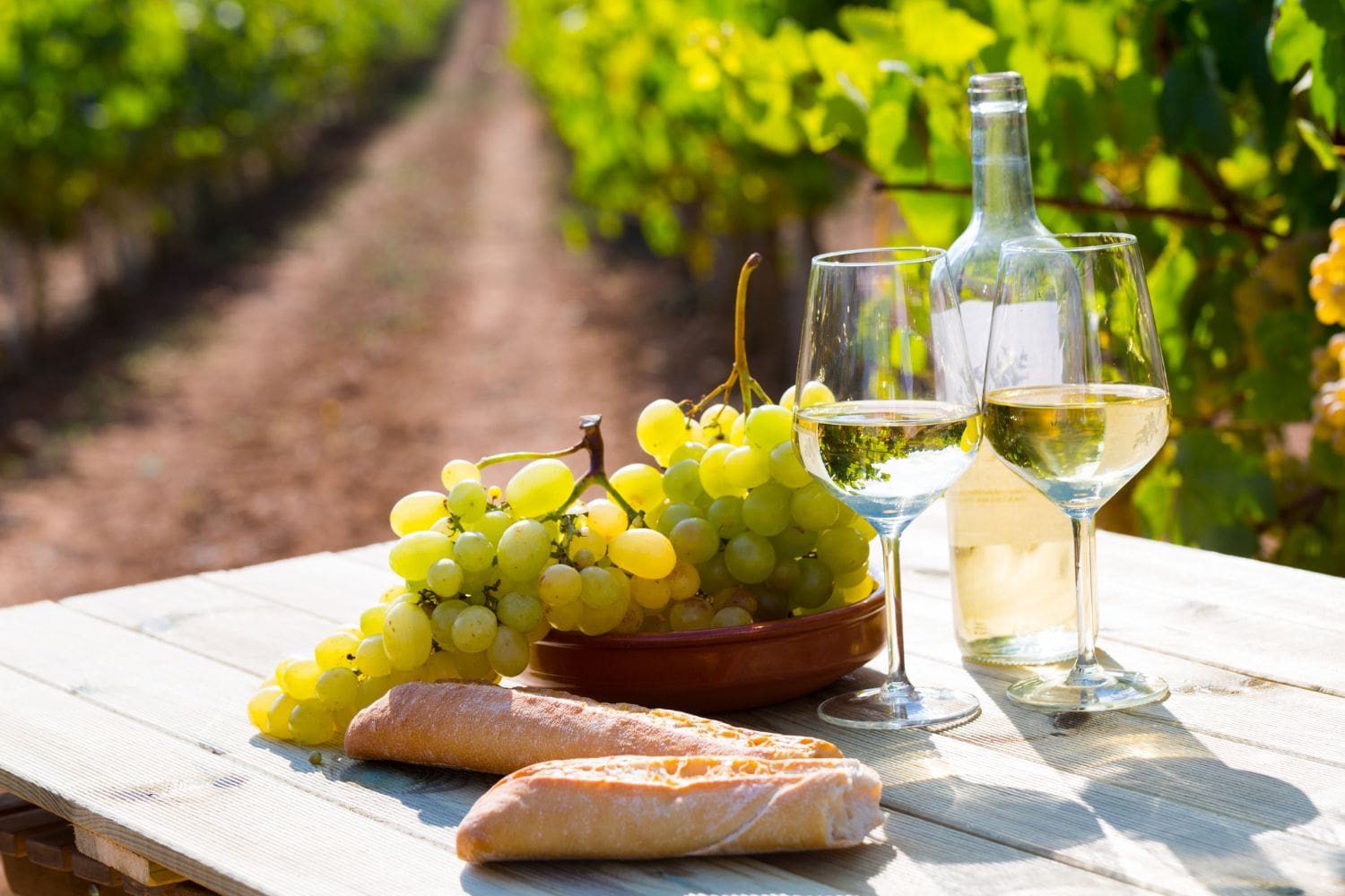 A table with a bottle and two glasses of white wine, a bunch of green grapes, and two pieces of bread, set outdoors near a vineyard.