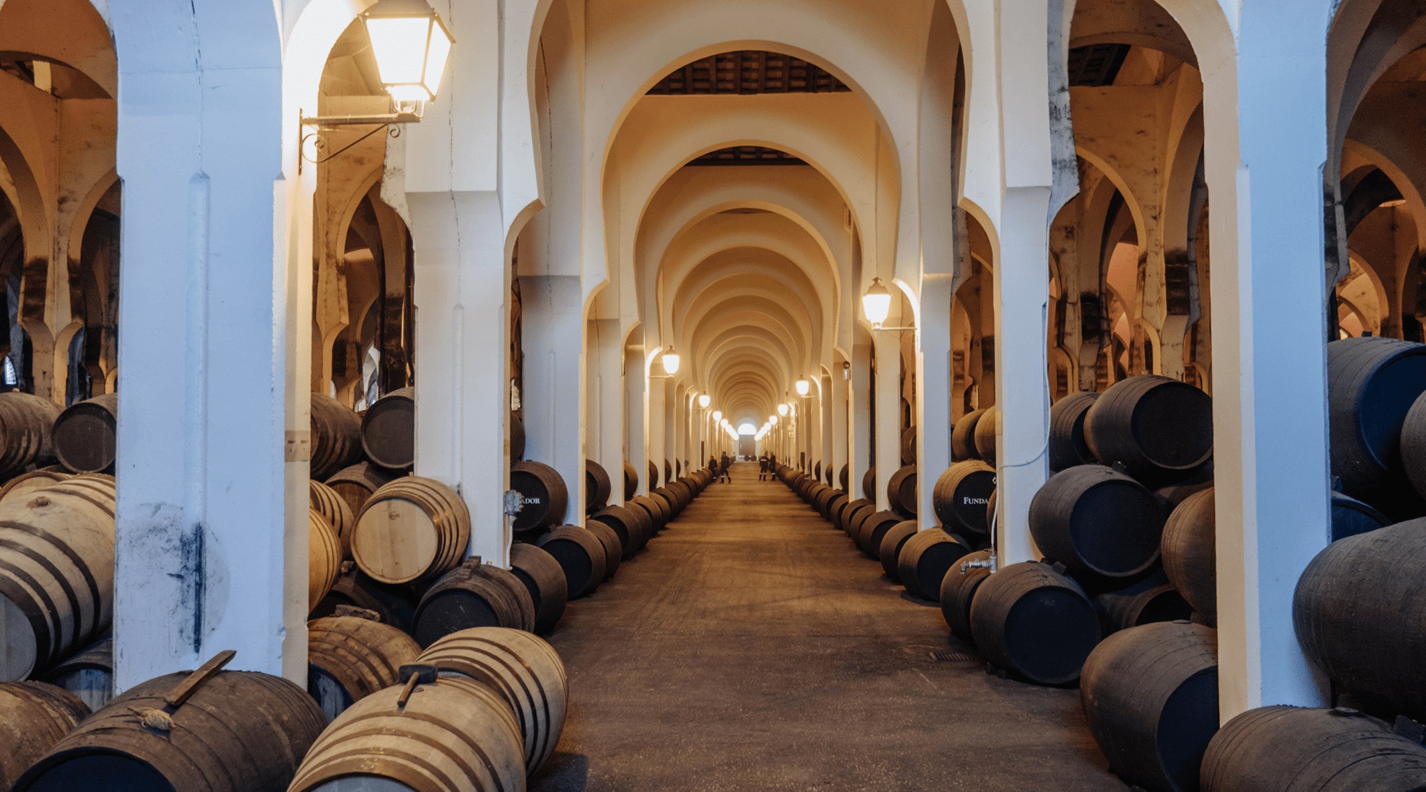 Long arched cellar lined with wine barrels