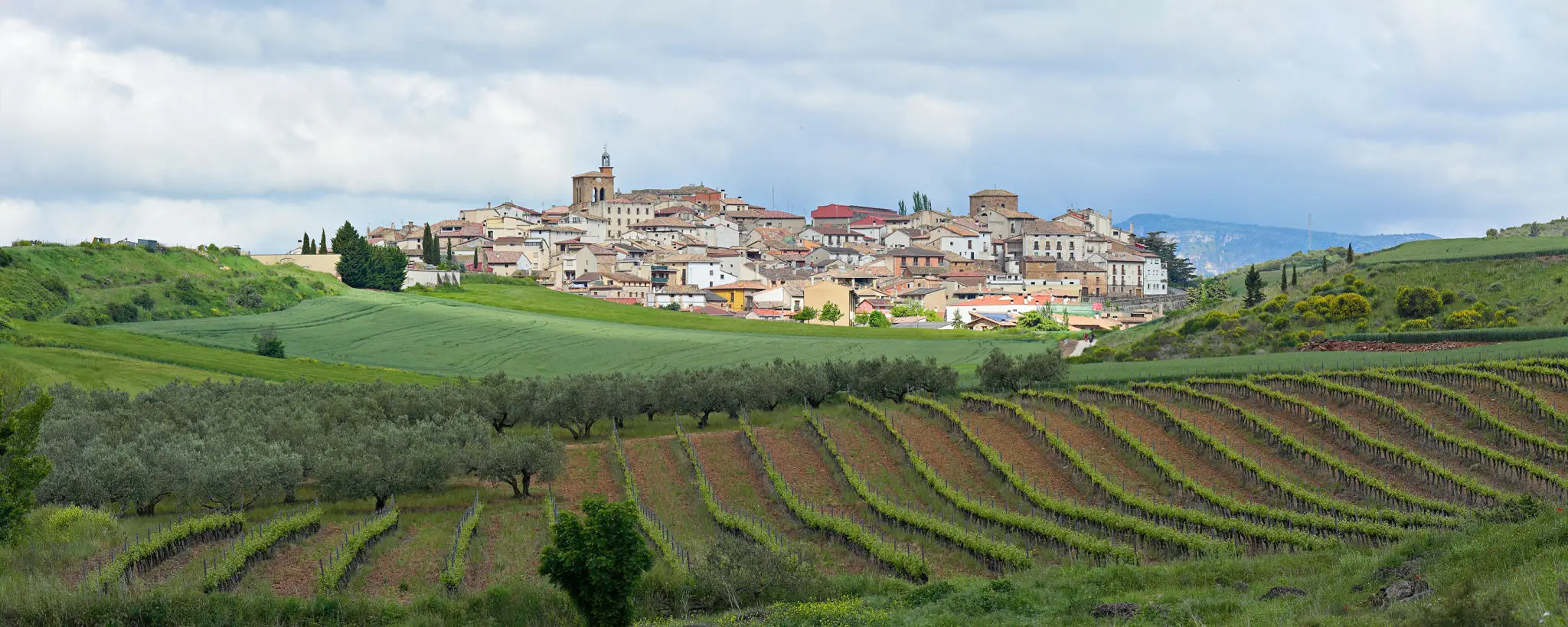 Hilltop town with terraced vineyards and fields