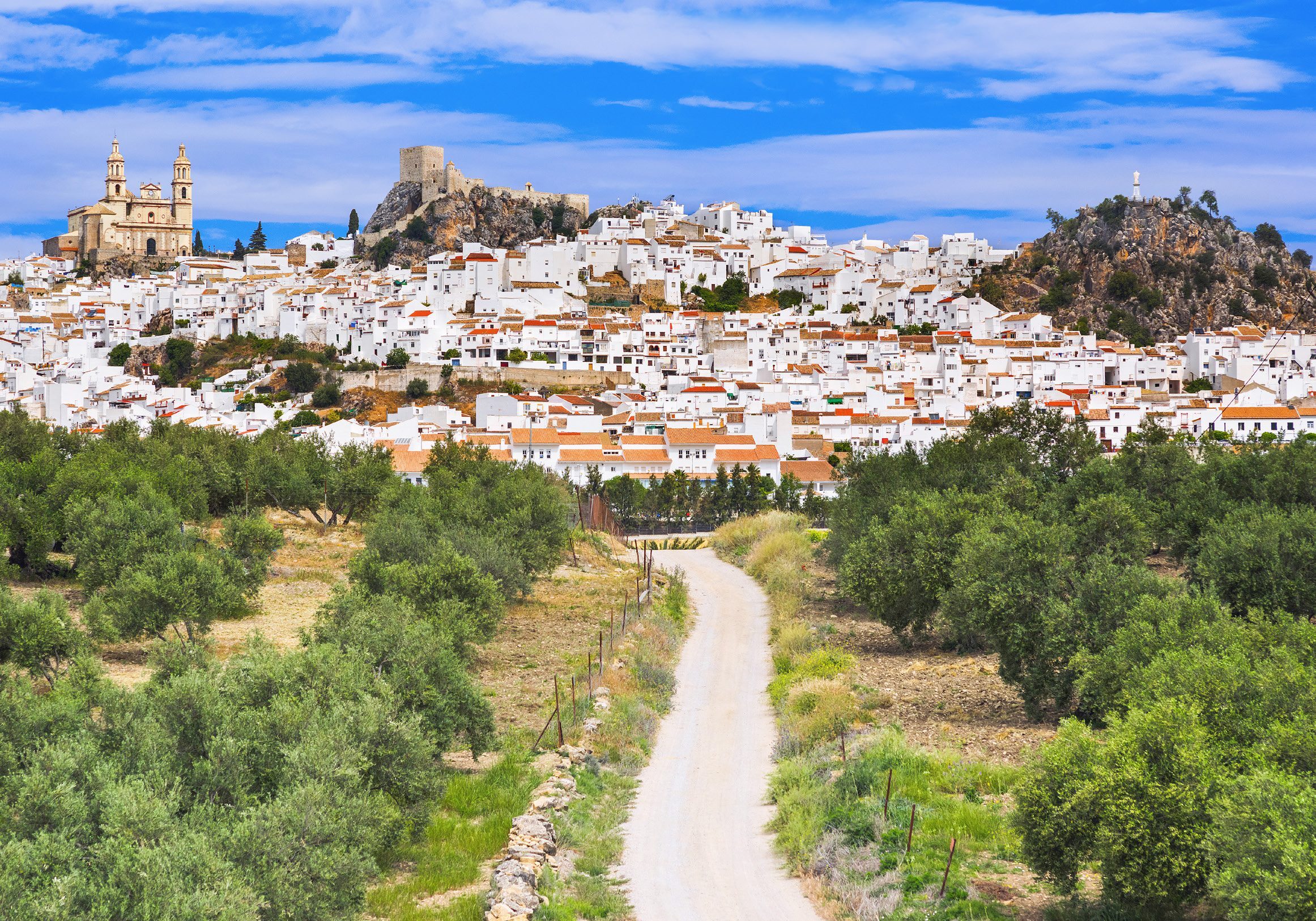 White hilltop village with winding road and olives