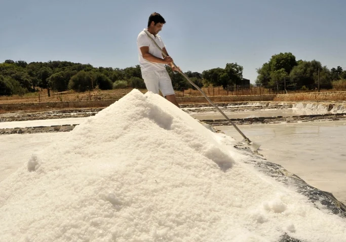 Salt worker raking large pile in salt pans